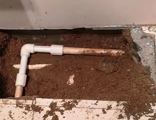 宜秀测漏水哪家好