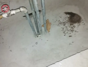 宜秀卫生间测漏水价格明细